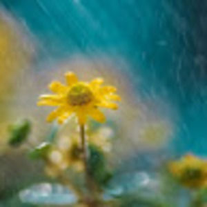 Meet your Posher, Madeline